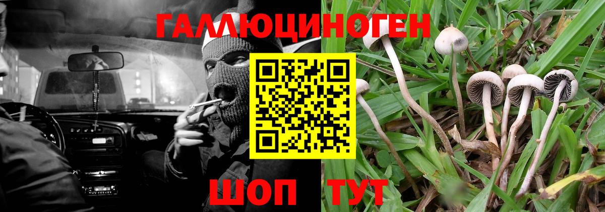 Псилоцибиновые грибы ЛСД  Вход с VPN  Жуковский 